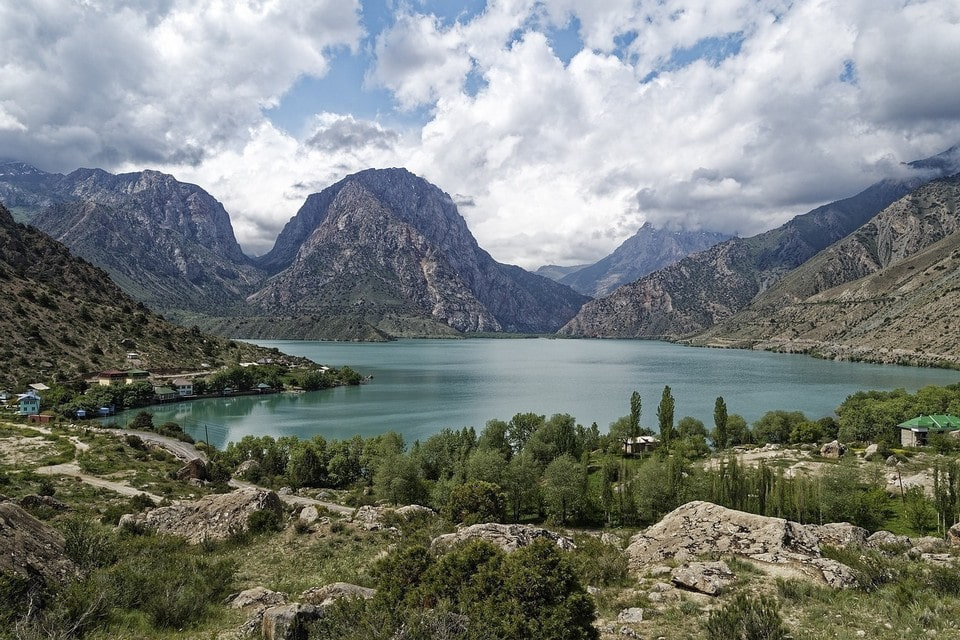 Tajikistan forest